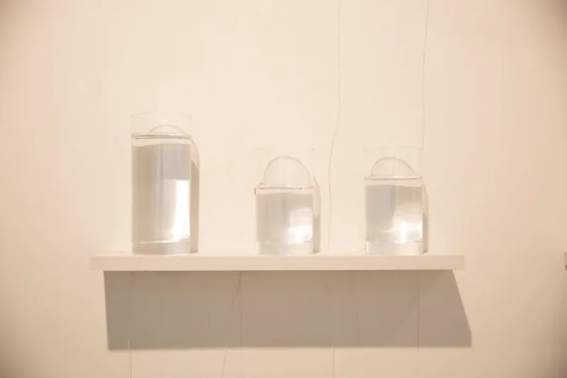 Cutting Edge: The Sound of Water