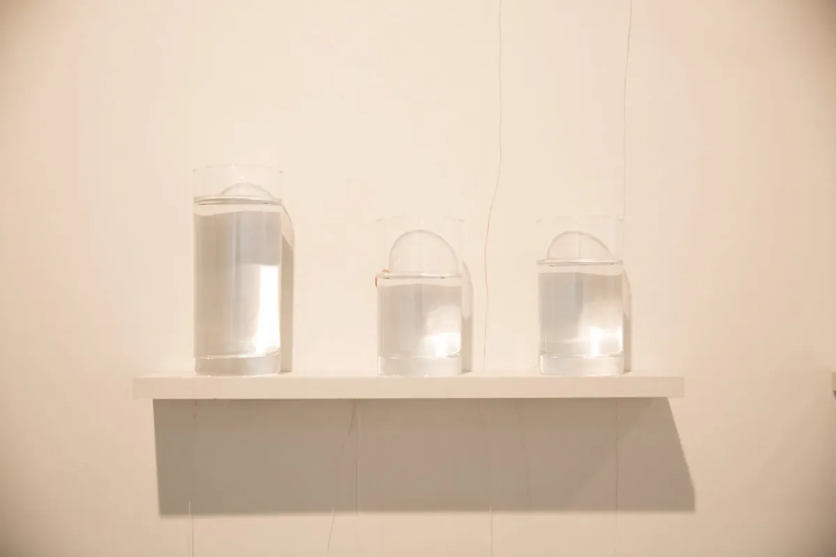 Cutting Edge: The Sound of Water