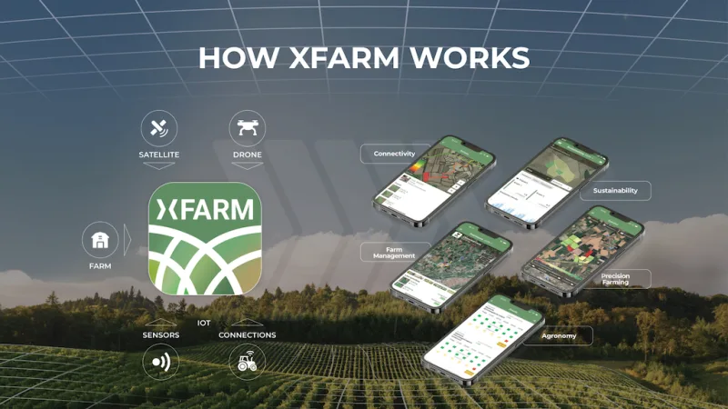 xFarm Technologies Buys Into Brazil’s Sugar Belt With Sibium Analytics Acquisition