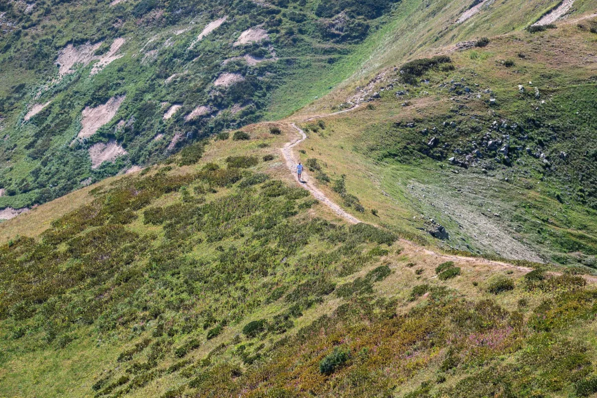 Not all who wander are lost: the psychology behind why the scenic route is often the wiser one